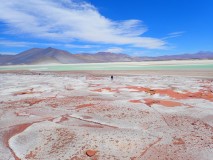 Desert d'Atacama/ Salar d'Atacama/ Lagunas Altiplanicas